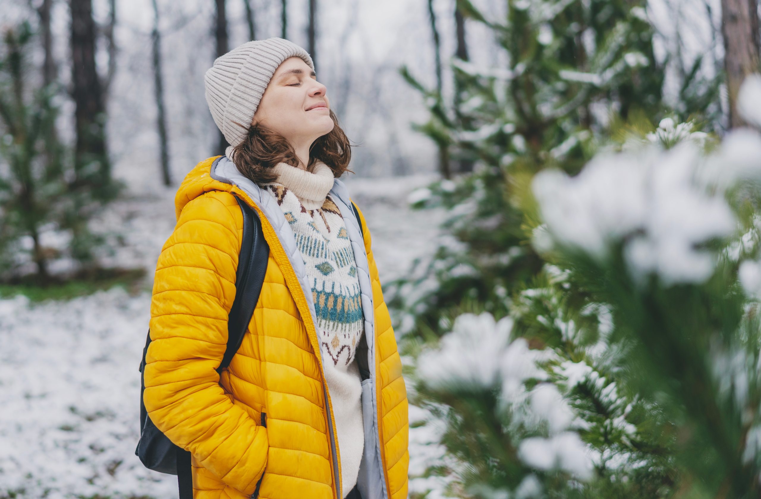 holiday mental health treatment guide alabama